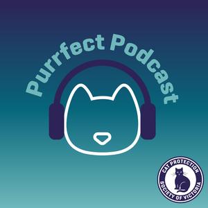 Purrfect Podcast