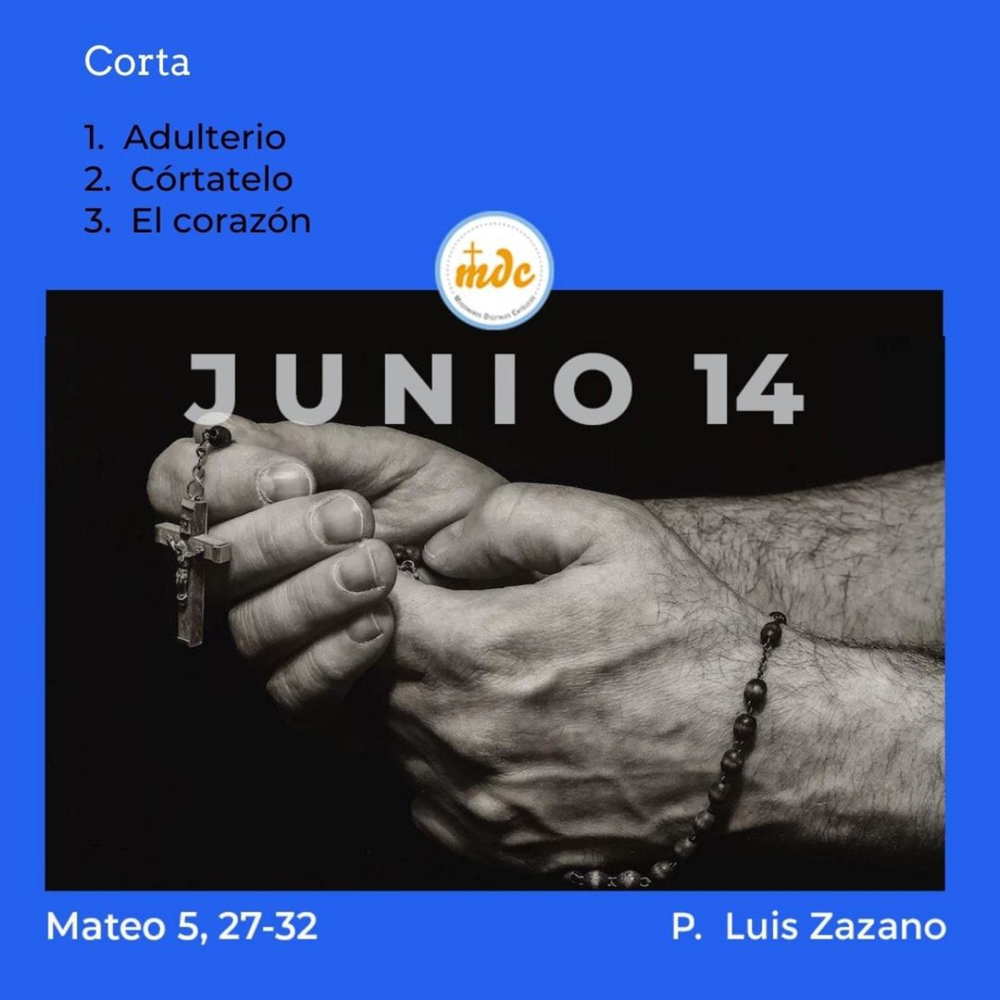 Mateo. 25,31-46 - Reflexión diaria del Evangelio por el P. Luis Zazano  (подкаст) | Listen Notes