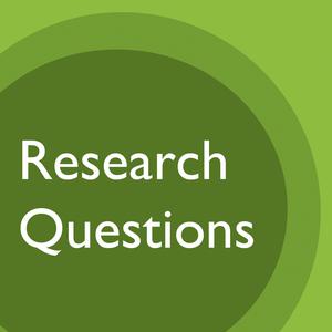 Research Questions