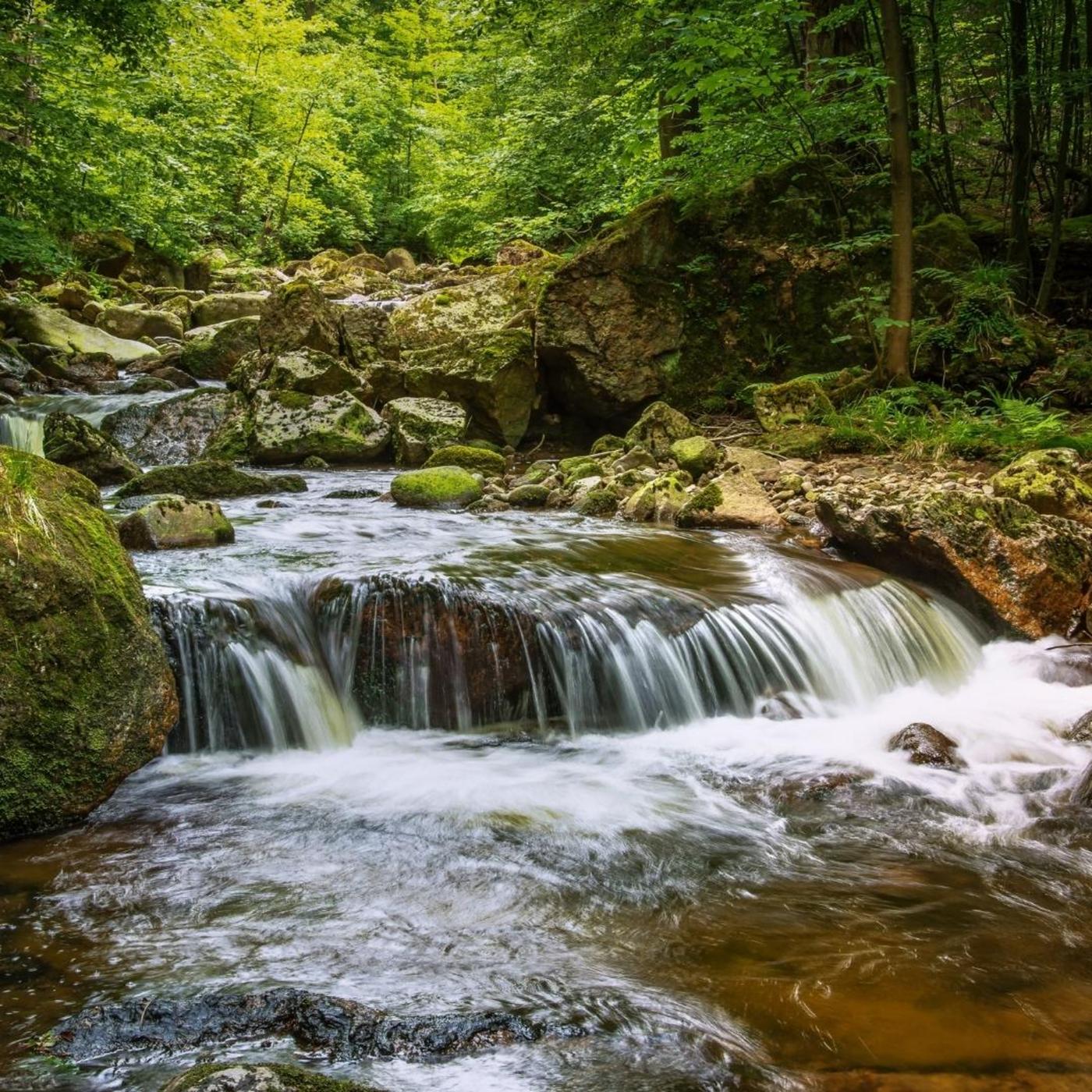 Imágenes de Naturaleza Relajante | Descarga imágenes gratuitas en Unsplash, image size:1400x1400
