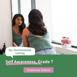 Self-awareness, Grade 7