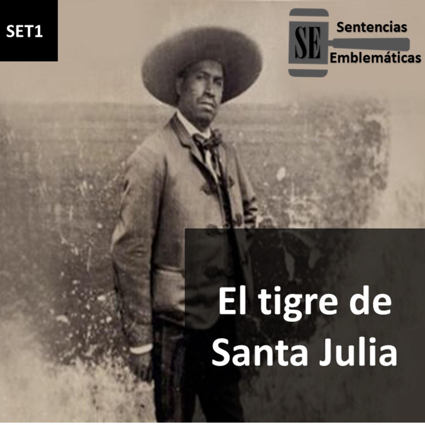 Caso Tigre de Santa Julia - Sentencias Emblemáticas | Listen Notes