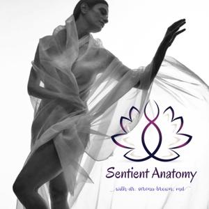 Sentient Anatomy