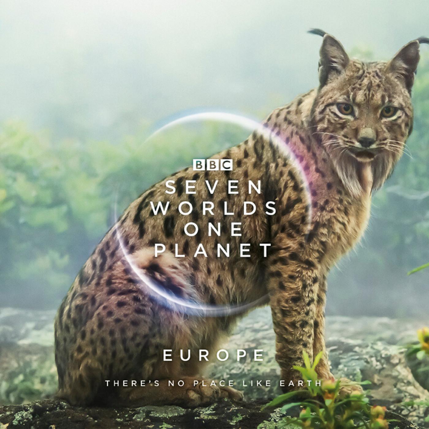 Seven Worlds One Planet - Australia - Seven Worlds One Planet – Martin ...