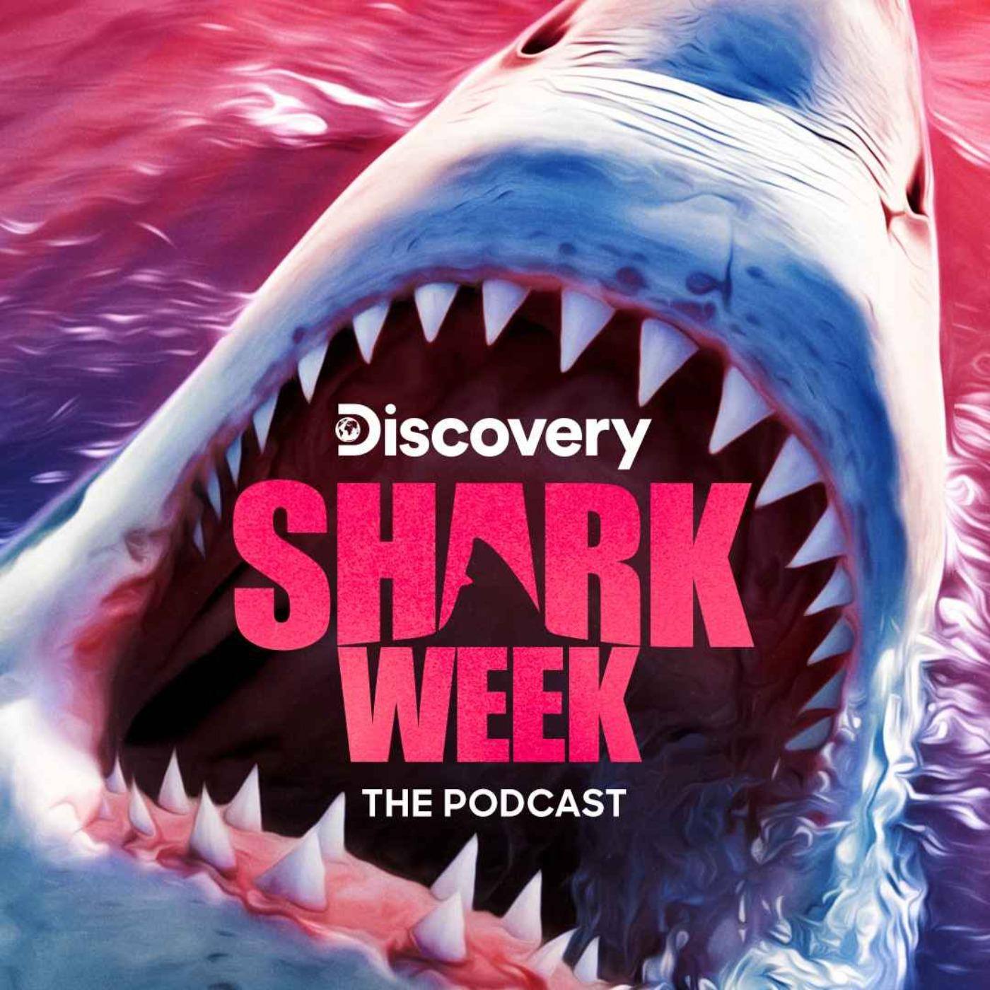 S1 Ep.5: Studying the Dangerous and Dwindling Mako Shark | Listen Notes