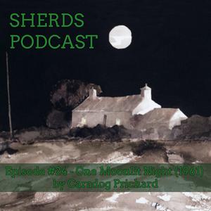 #24 One Moonlit Night by Caradog Prichard