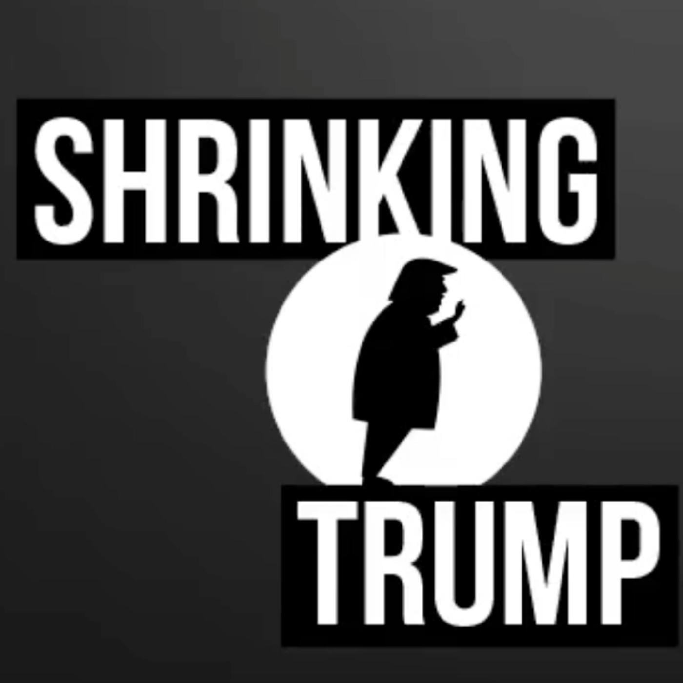 Shrinking Trump (podcast) - Really American Media | Listen Notes