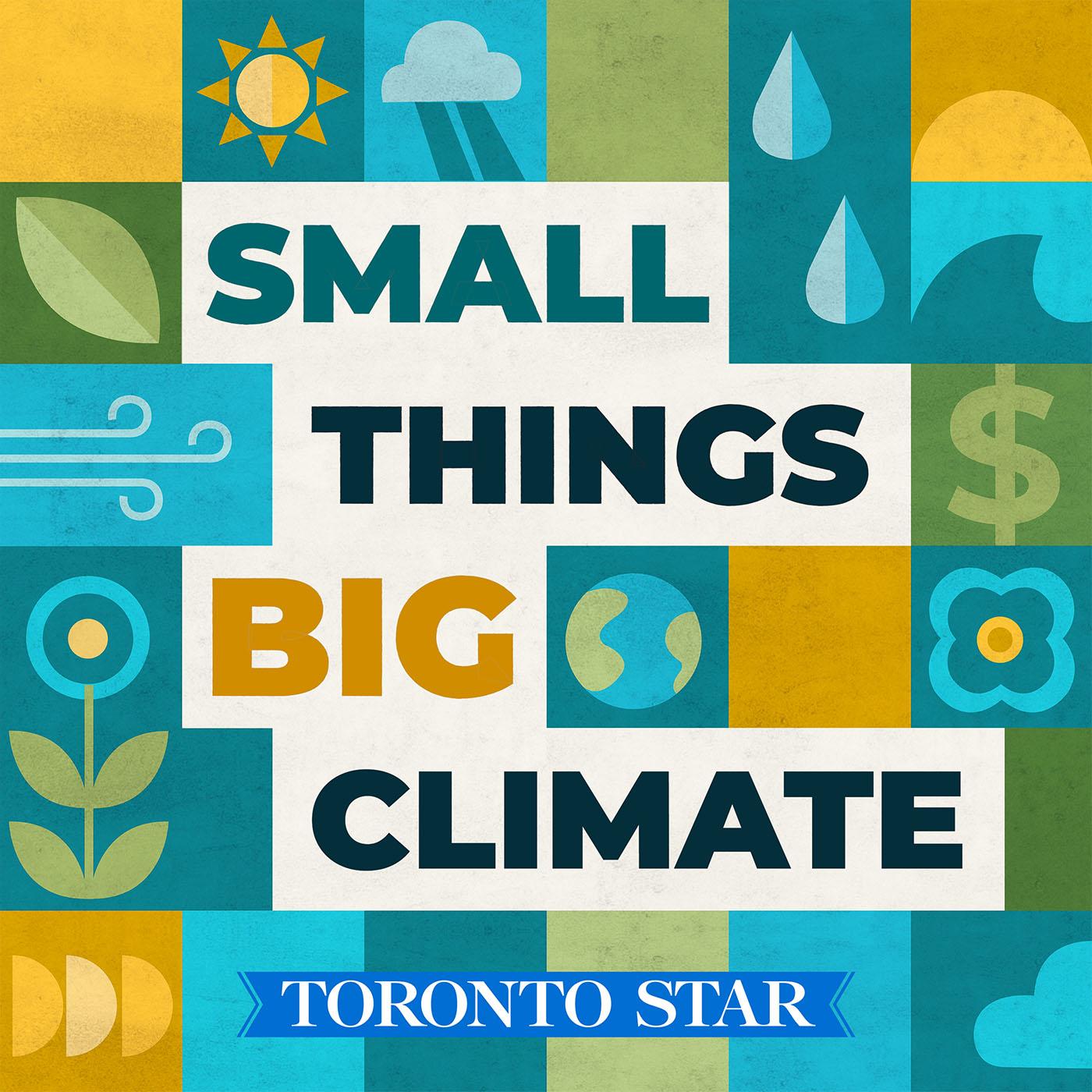 Beef is the worst food for the climate. Can it be done better? episode artwork