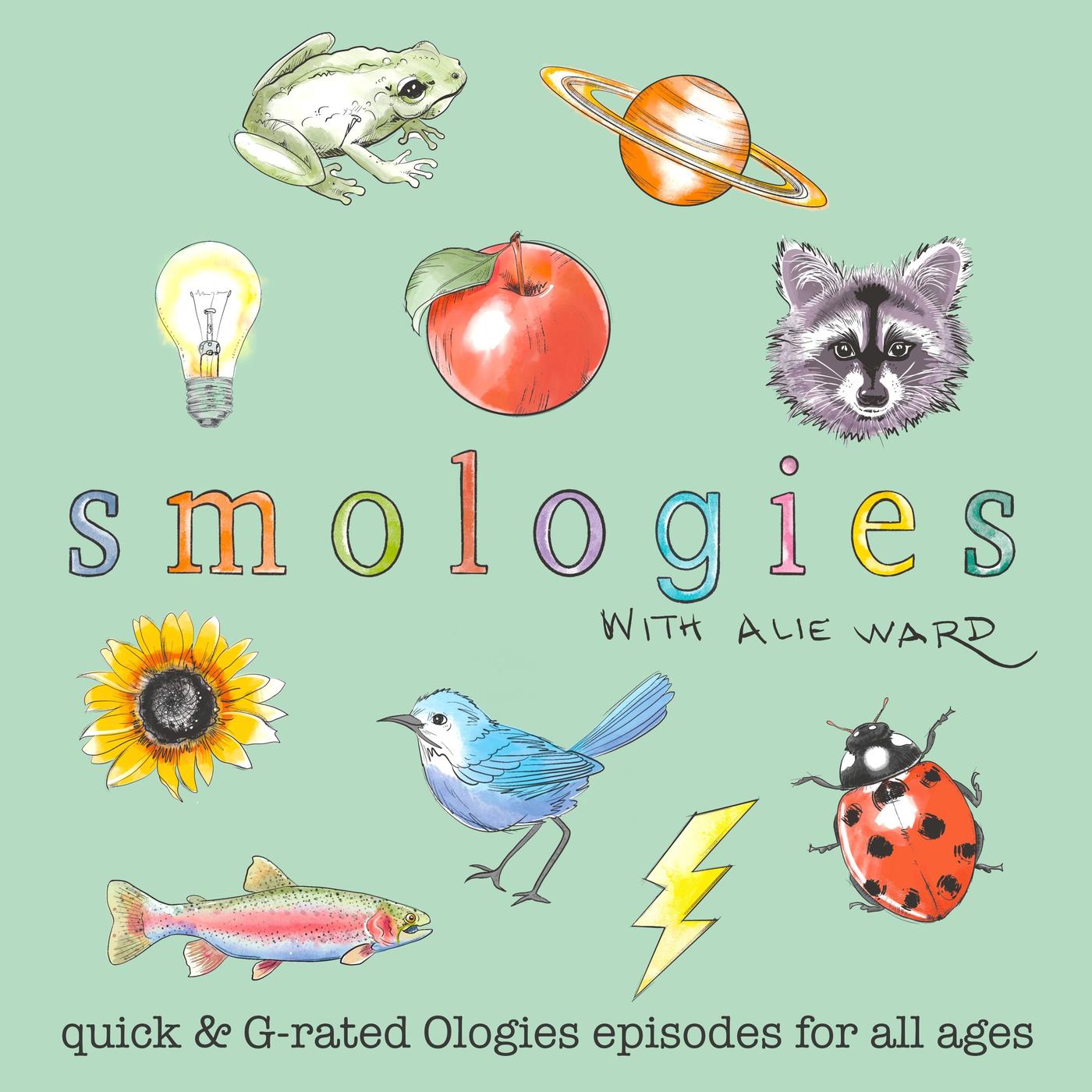 BEES with Amanda Shaw - Smologies with Alie Ward (podcast) | Listen Notes