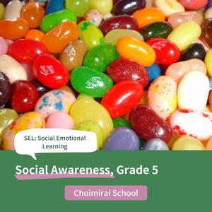 Social Awareness Grade5
