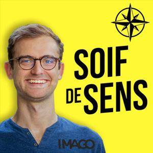 Été | Solarpunk : L'utopie écolo qui fait envie
