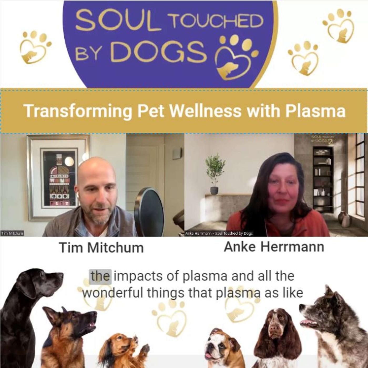 Tim Mitchum - Transforming Pet Wellness with Plasma | Listen Notes