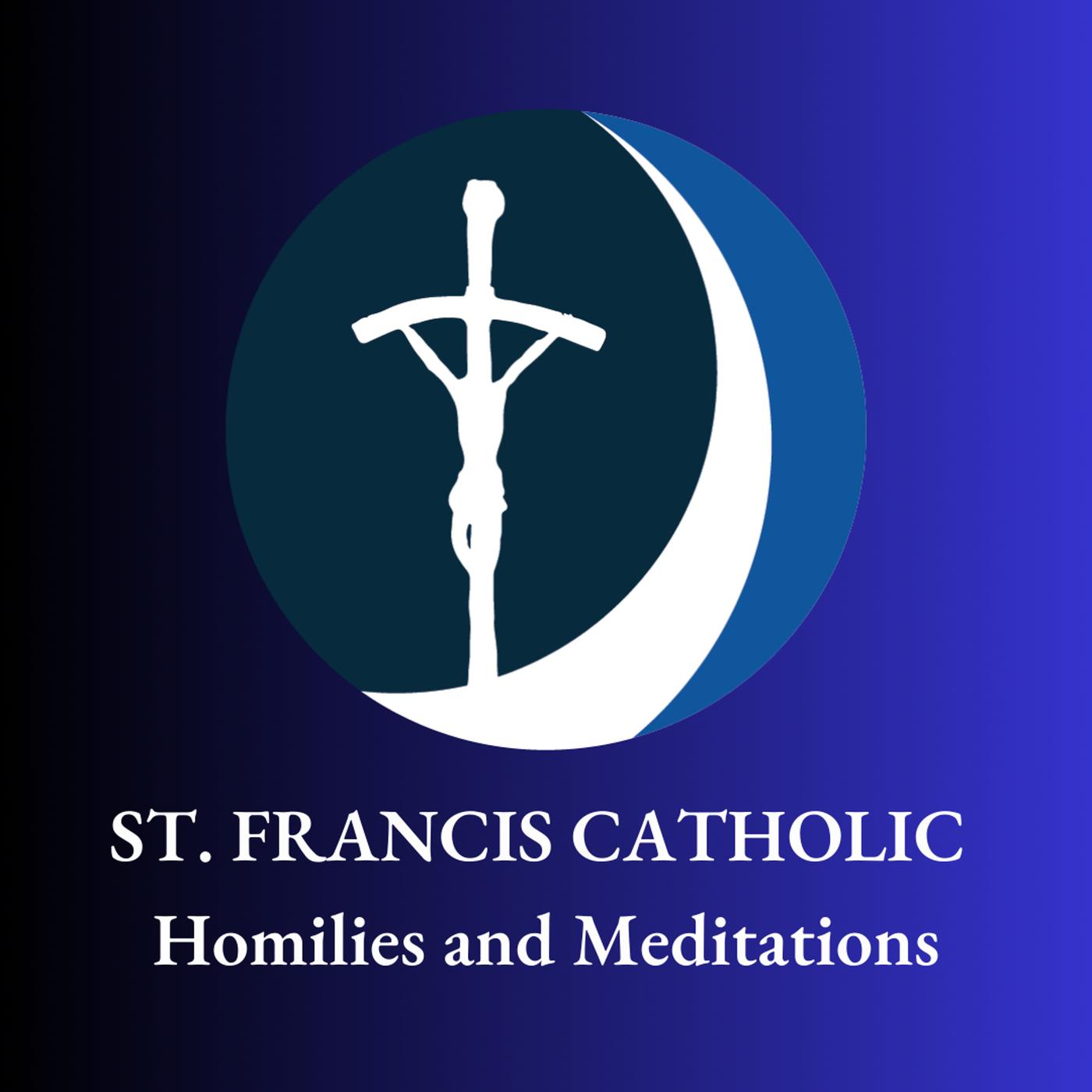 Homily Trinity Sunday 2024 St Francis Catholic (podcast) Listen Notes