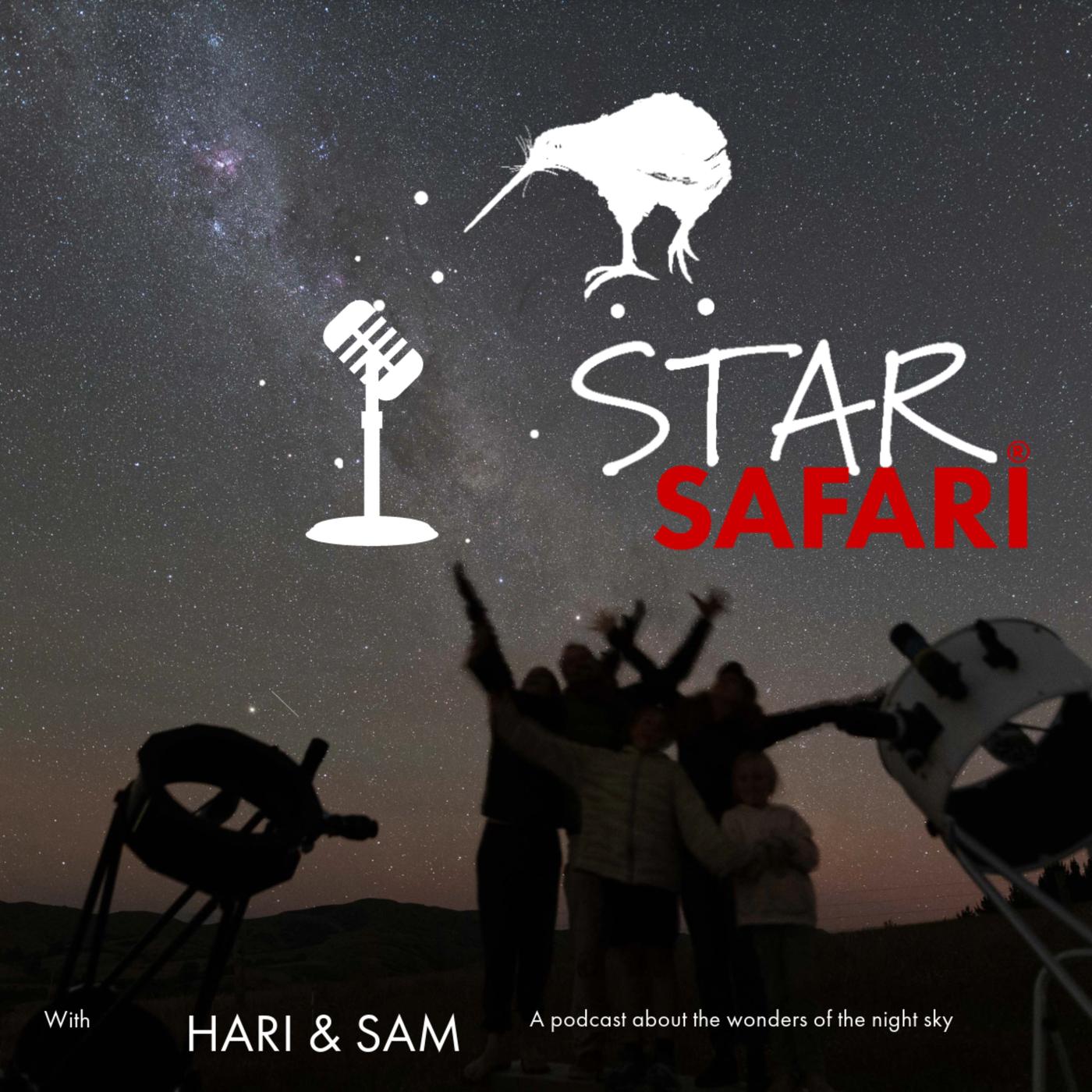 YSPACE with Star Safari