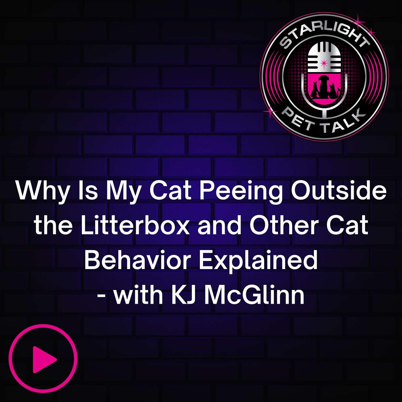 Why Is My Cat Peeing Outside the Litterbox and Other Cat Behavior
