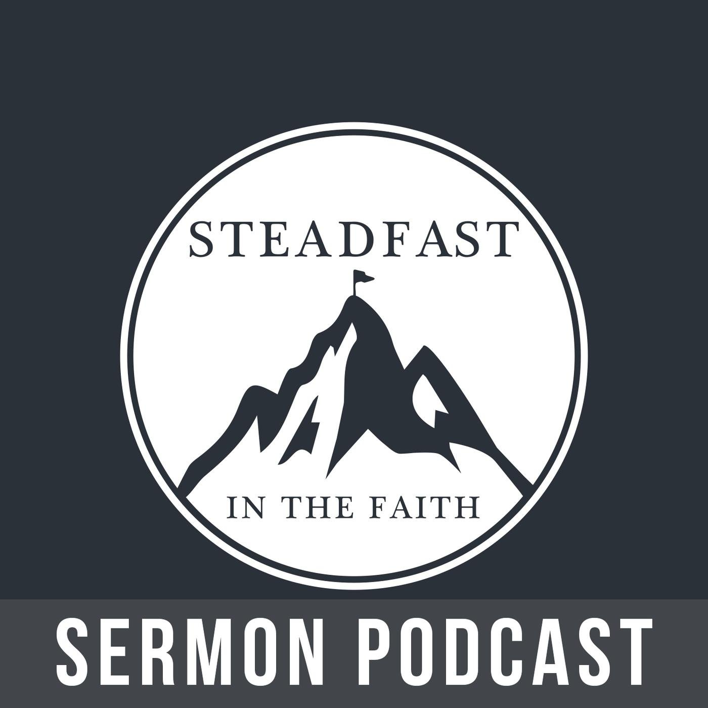 The Christ-Honoring Church, Part 2: Purpose - Steadfast in the Faith ...