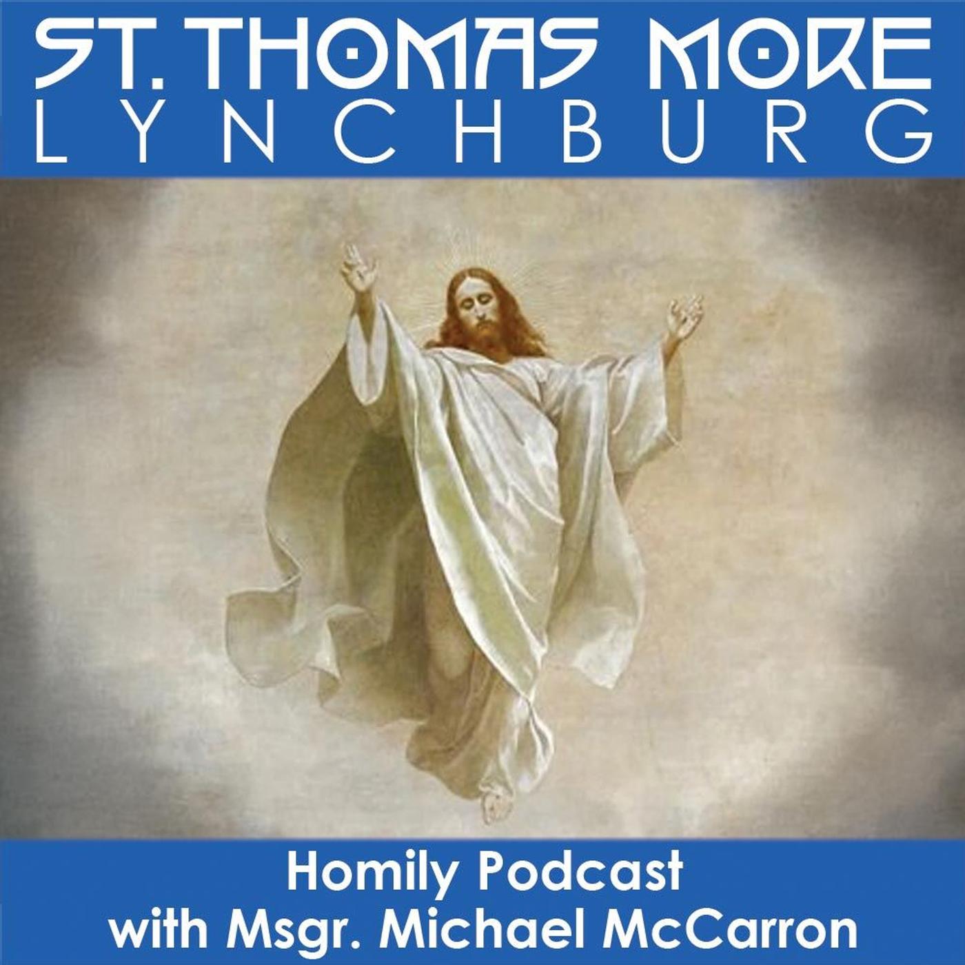 Solemnity of the Most Holy Trinity 2023 - STM Lynchburg Homily Podcast ...