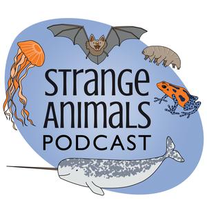 Episode 209: Animals Discovered in 2020