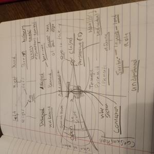 STREs1e173 The left right split of the mind