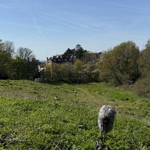 Hampstead Heath looking towards Harrow (II) - 8th April 2026