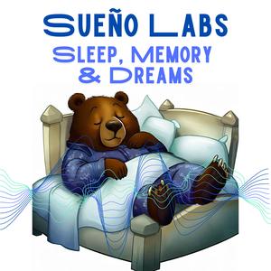 Sueño Labs