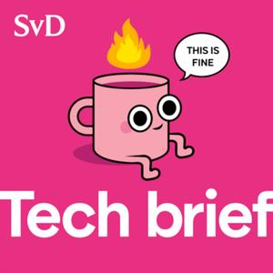 Bokslut över DOGE + Pågår en tyst jobbslakt inom tech?