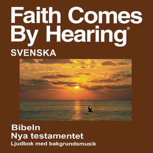 Svensk Bibeln (Dramatiserade) - Swedish Bible 