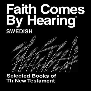 Svensk Bibeln (Mark) - Swedish Bible (Mark)