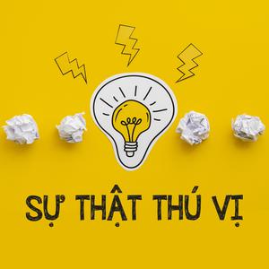 Sự Thật Thú Vị