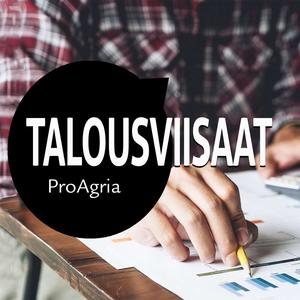 Talousviisaat