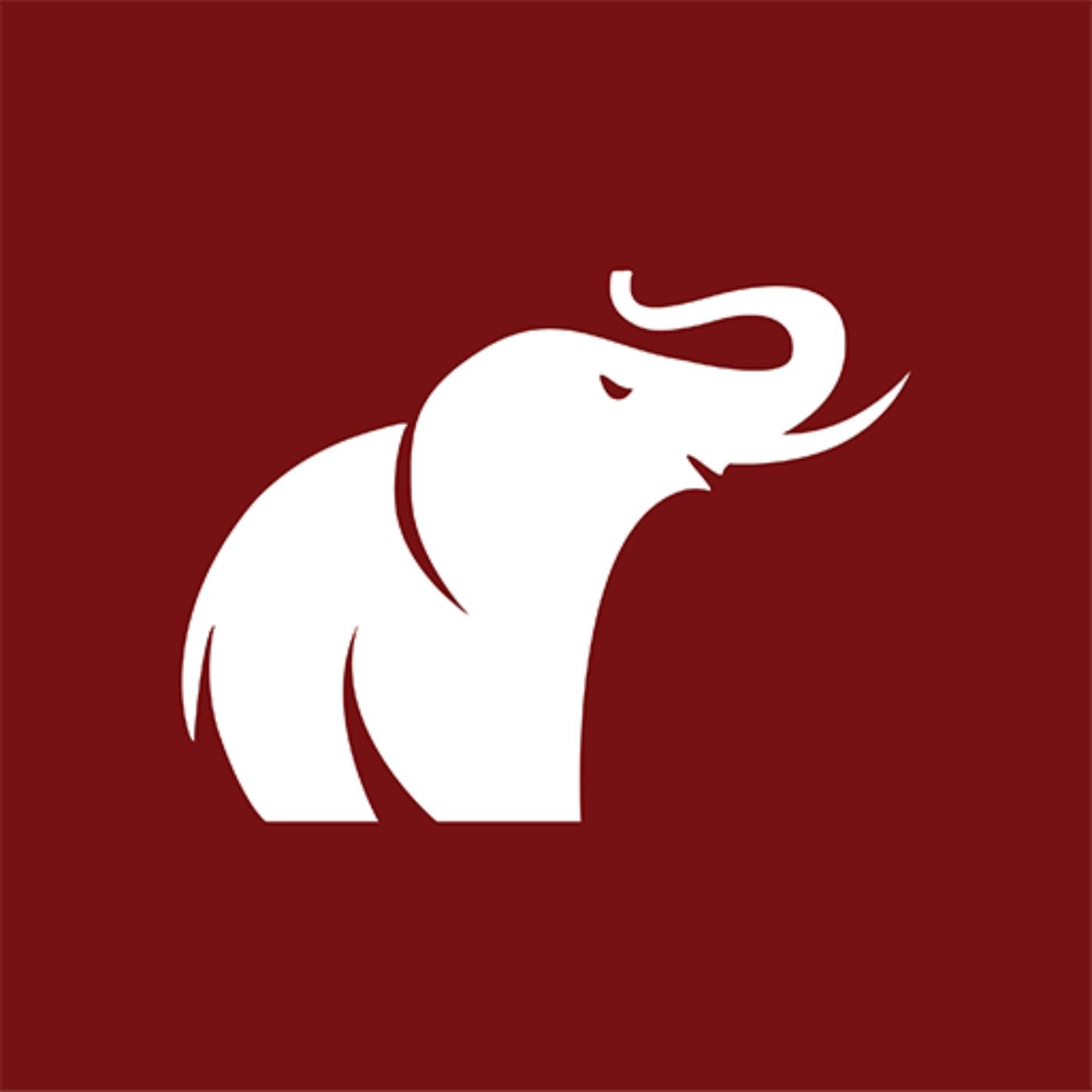 Politics of COVID-19 Podcast - The Syllabus