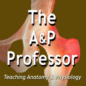 The A&P Professor