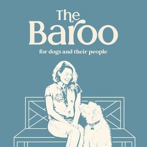 Clearing Up Misinformation Around Aggressive Behavior in Dogs with Michael Shikashio