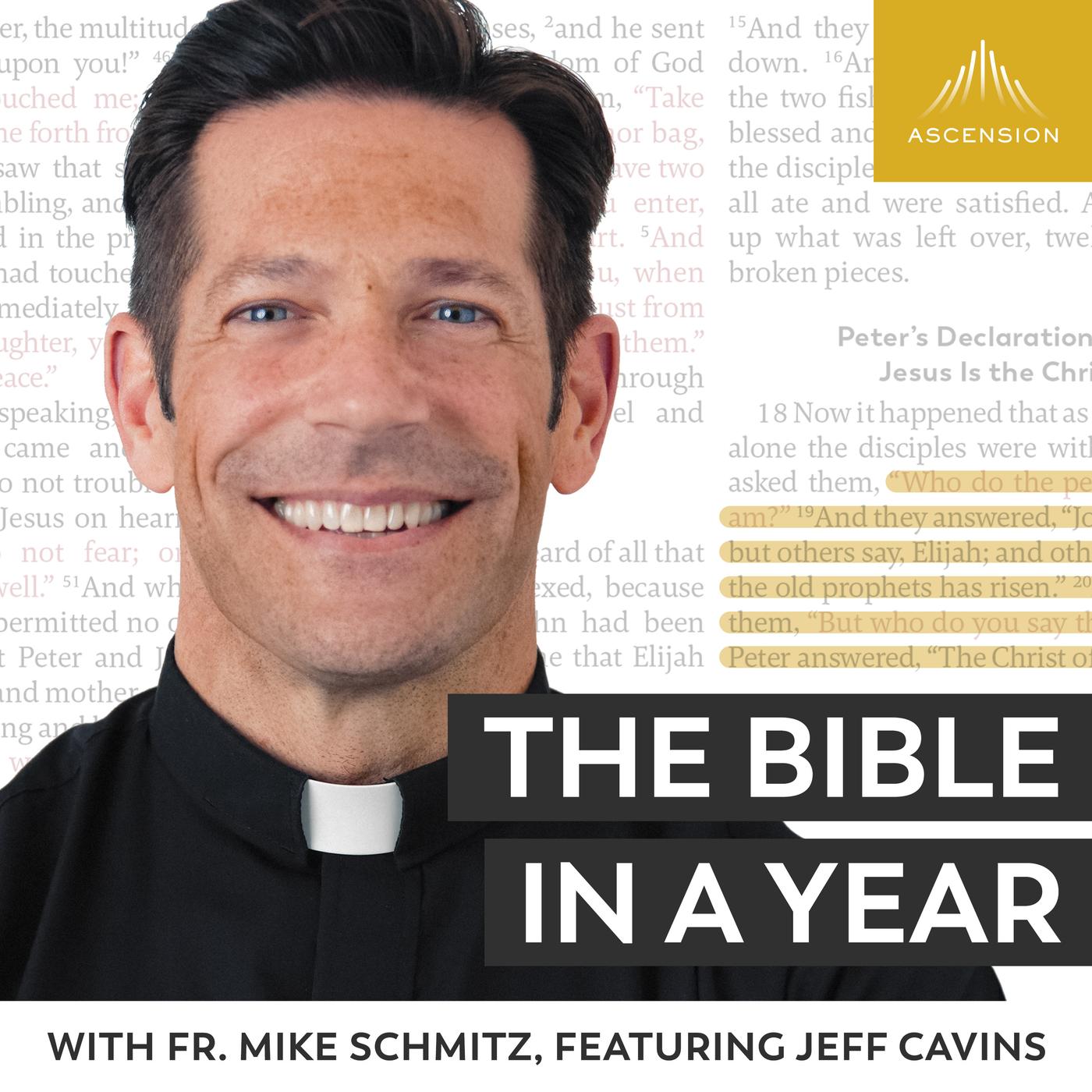 Day 260: Carrying the Cross (2021) - The Bible in a Year (with Fr. Mike ...