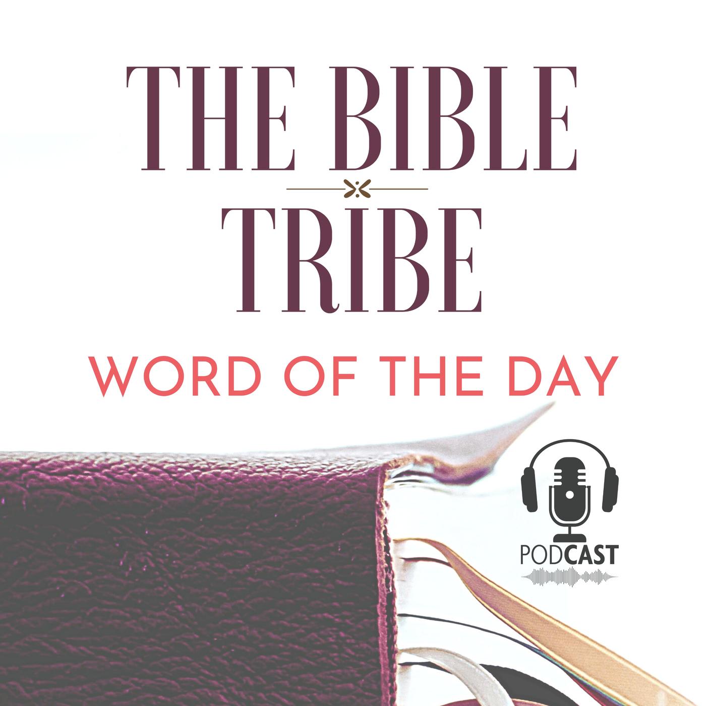 the-bible-tribe-bible-reading-plan-day-28-the-bible-tribe-podcast