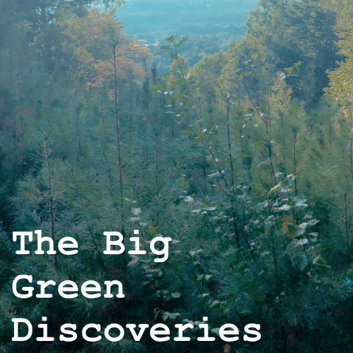 Over The Wire Podcast