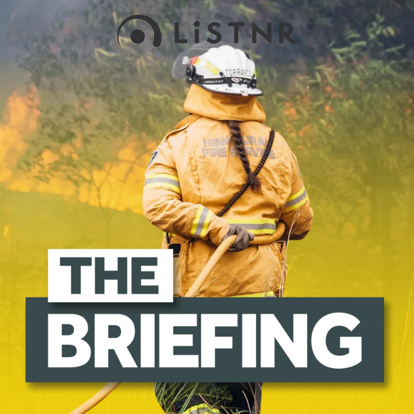 The Briefing