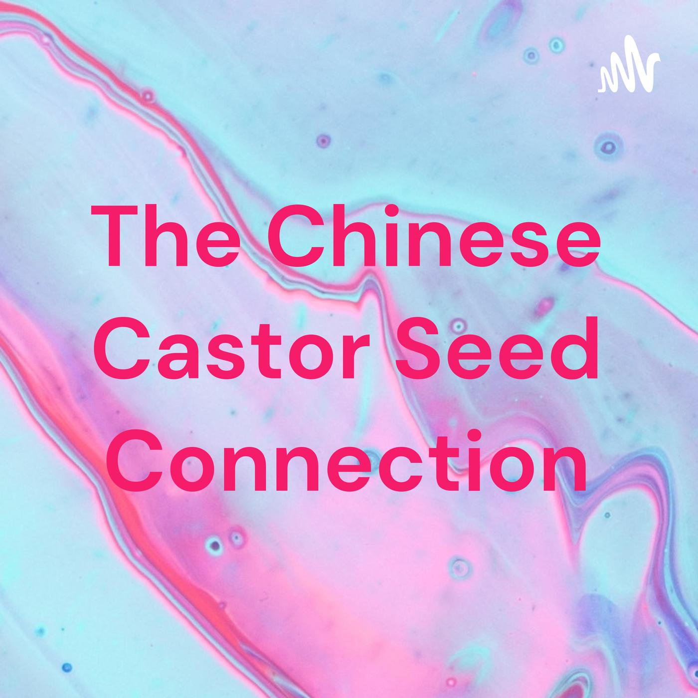 The Chinese Castor Seed Connection