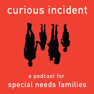 The Curious Incident Podcast