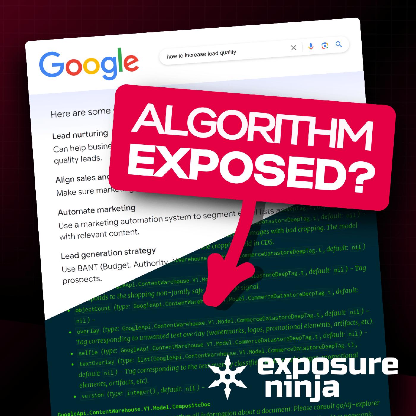 What the Google Leak Means for SEO The Digital Marketing Podcast by