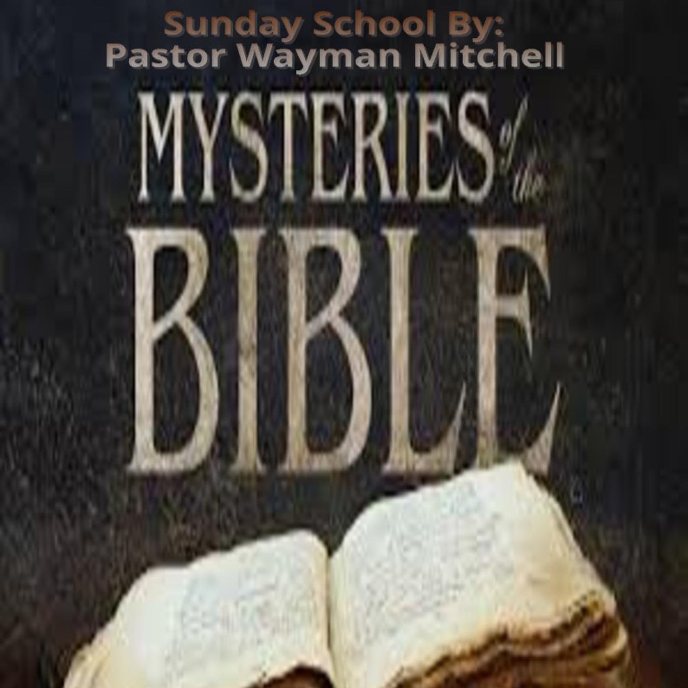 10.Mysteries Of The Bible_Mystery Of The Olive Tree_Ps.Wayman Mitchell ...