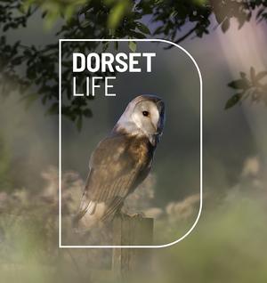 The Dorset Life Podcast