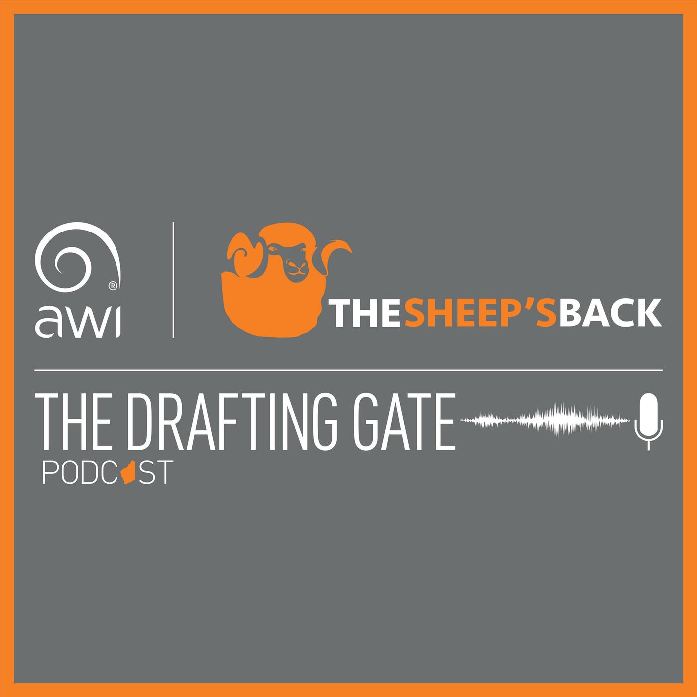 The Drafting Gate (Podcast) - The Sheep's Back | Listen Notes