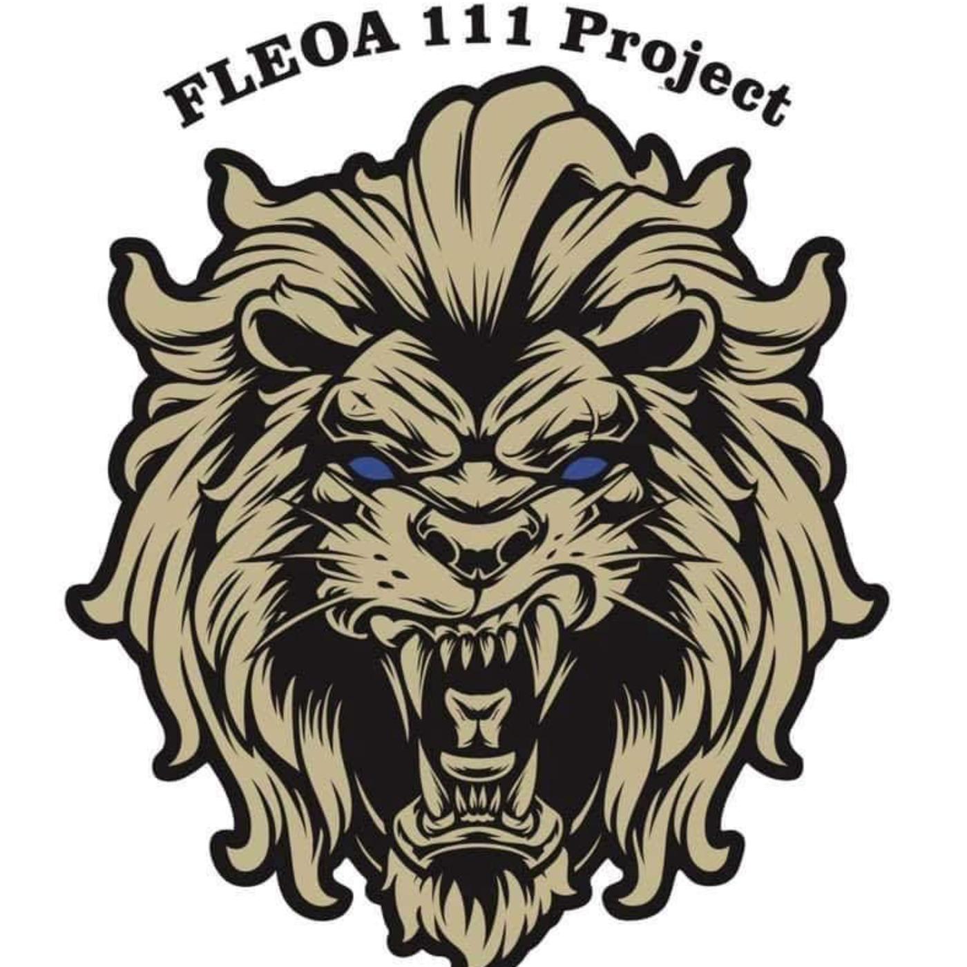 Episode 4: Dr. Medina Baumgart - The FLEOA 111 Project (podcast ...