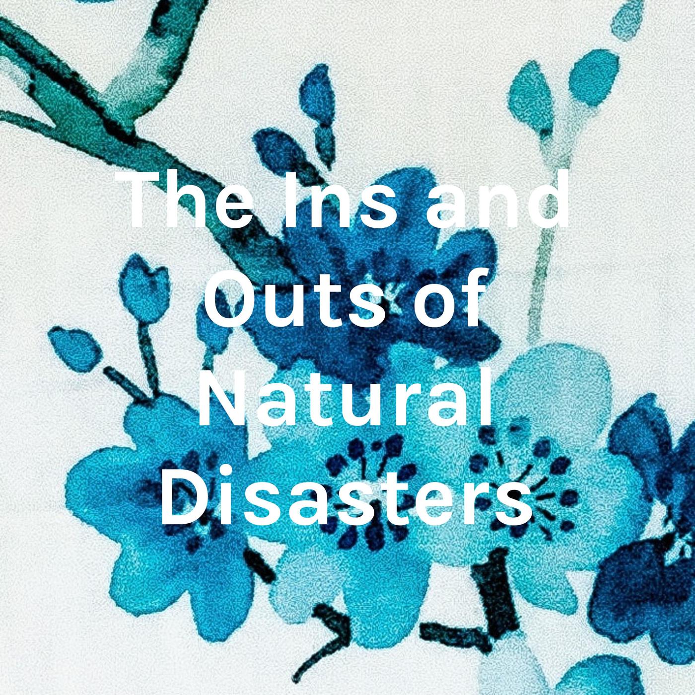 The Ins And Outs Of Natural Disasters (podcast) - Paris Brazelton 