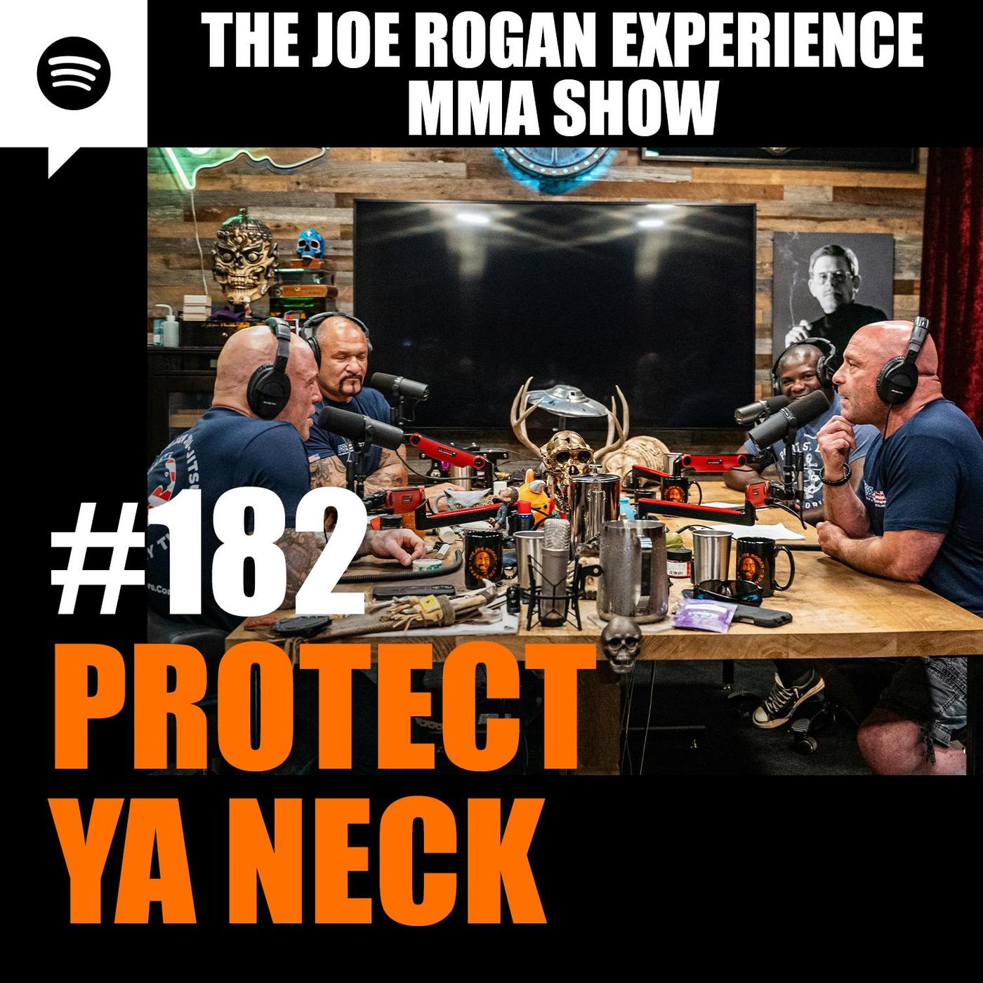 The Joe Rogan Experience