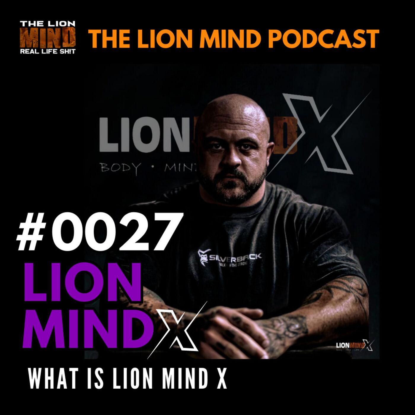 032 REVIVE YOURSELF DEAN MADEN FROM THE visual data 8