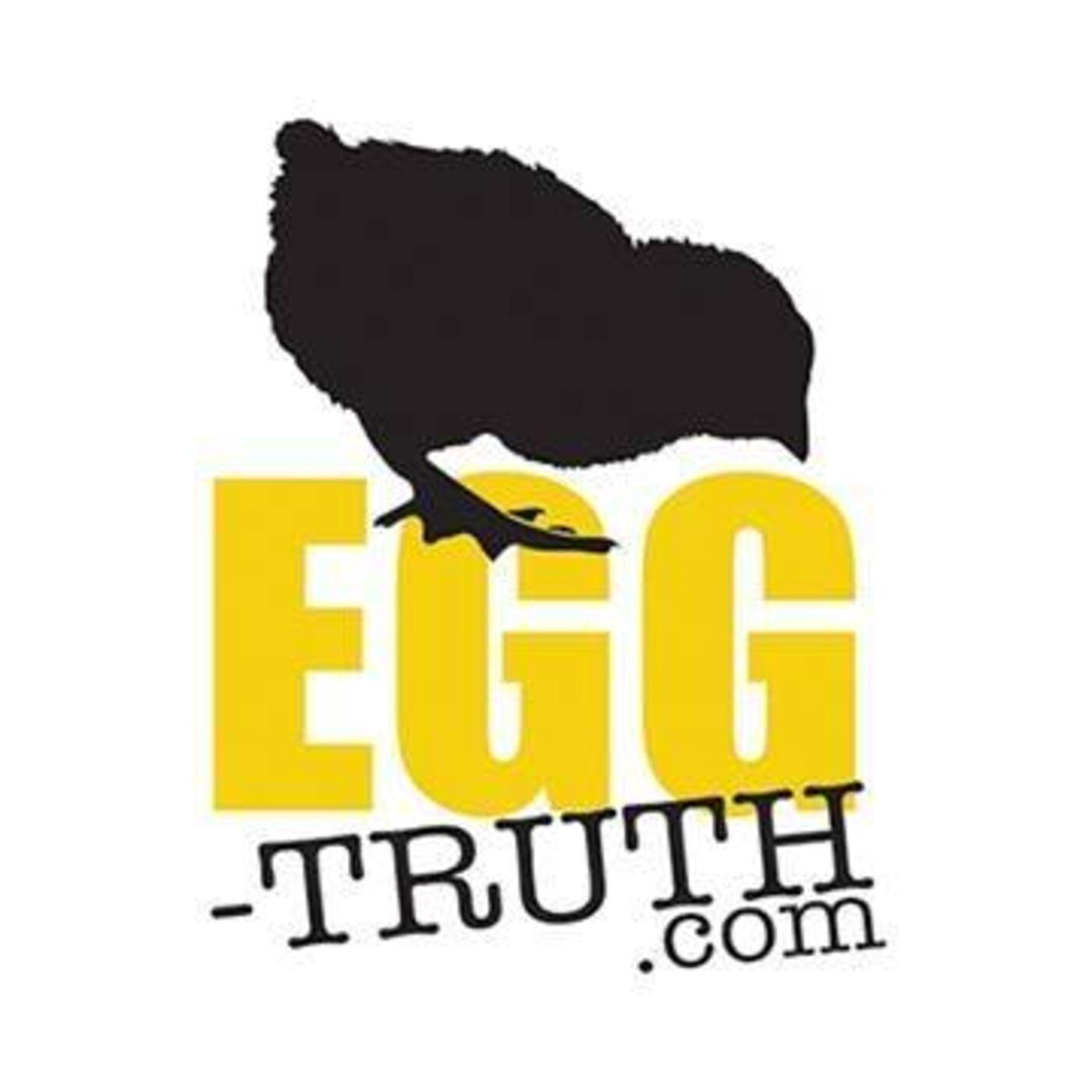 egg net worth