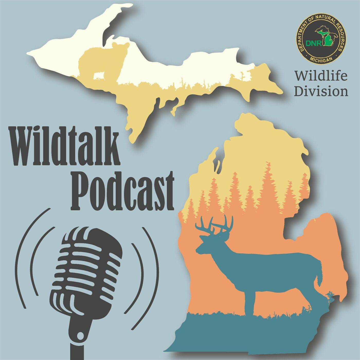 Bats, Rabies and Cats Oh My! The Michigan DNR's Wildtalk Podcast