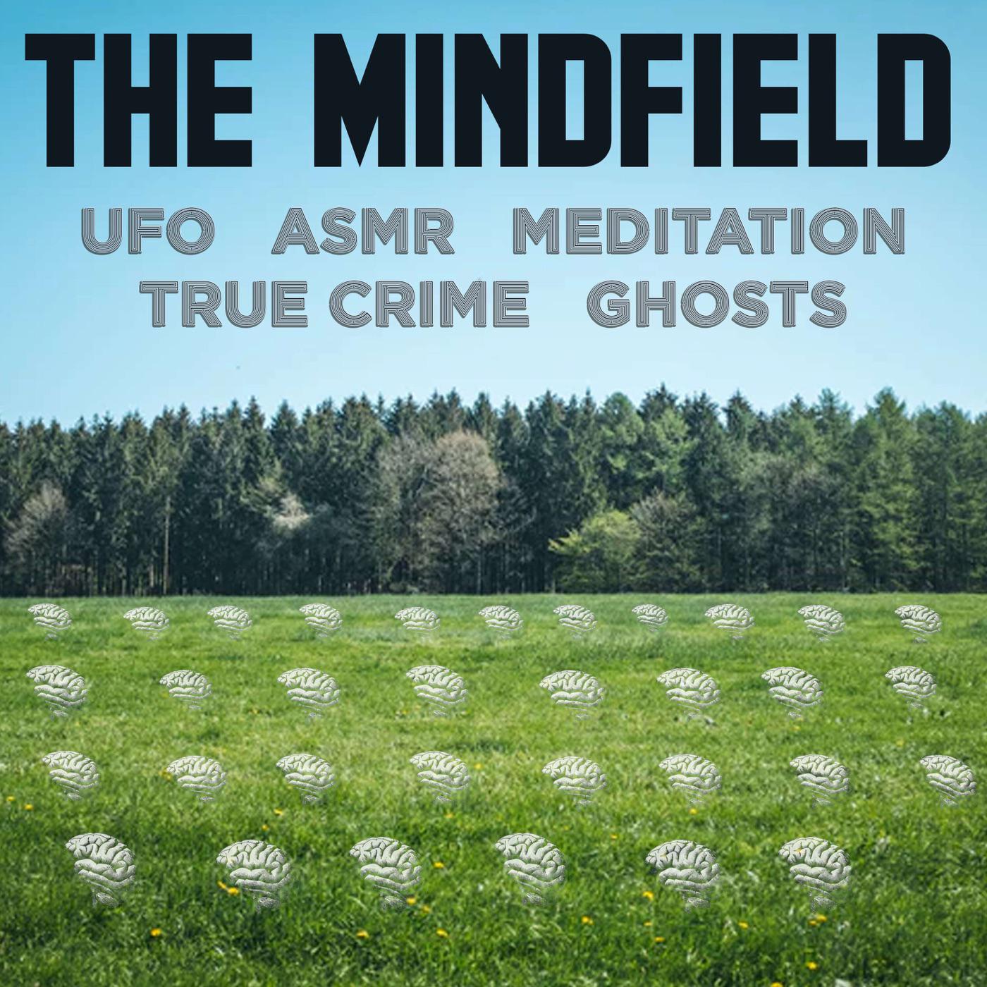 The MindField presents: MF23